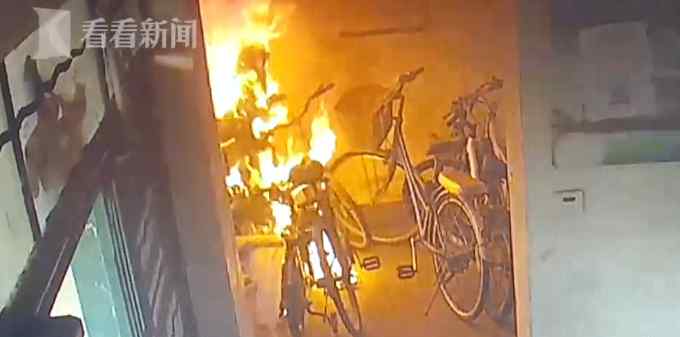 宠物狗在楼道乱撒尿！为毁灭证据 上海62岁阿姨竟放火烧了楼
