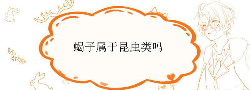 蝎子属于昆虫类吗