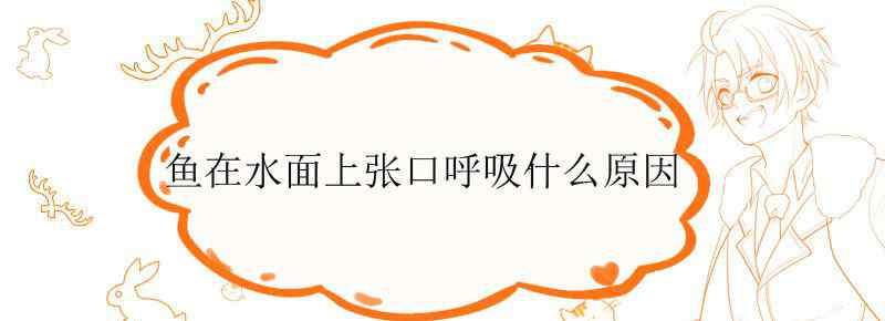 鱼在水面上张口呼吸什么原因