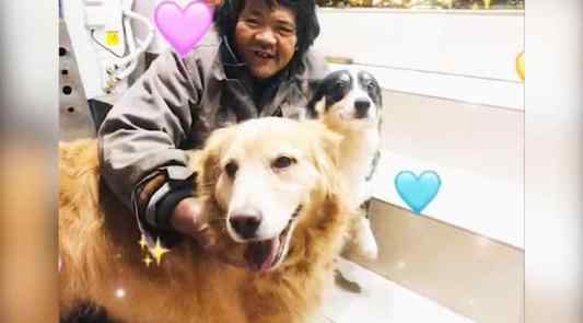 流浪大叔带馒头喂宠物店狗狗 流浪大叔带馒头喂狗