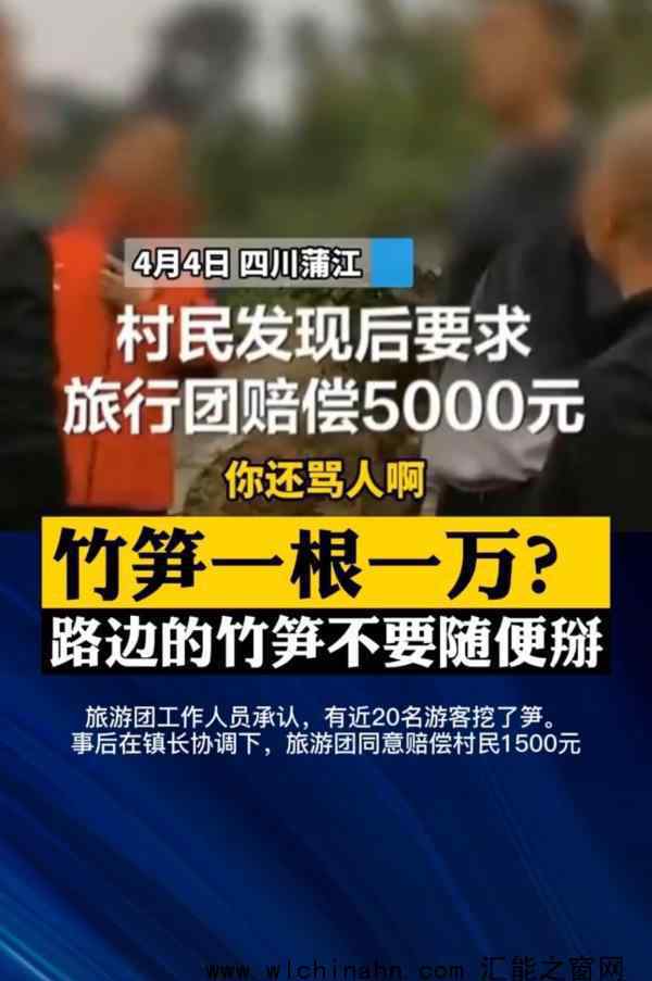 游客挖竹笋遭村民索赔1根1万 究竟发生了什么