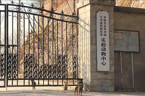 兰州布病感染者将起诉涉事企业 兰州布病症状