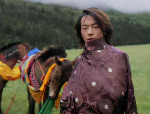 海霞说丁真背后的美值得更多流量 丁真是什么梗
