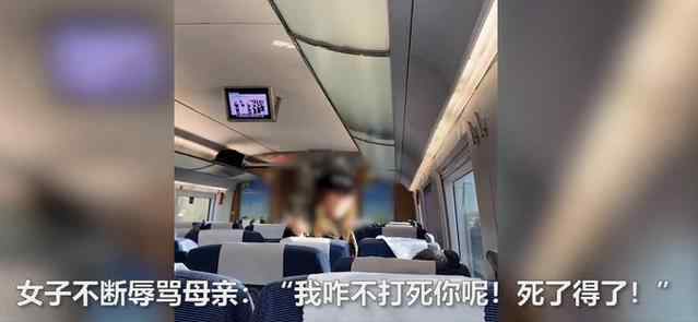 女子高铁辱骂母亲后弃母下车 辱骂母亲警察怎么处理
