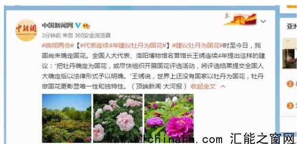 代表连续4年建议牡丹为国花 为什么要这样建议