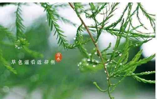 春雨润如酥 【雨水】春雨润如酥