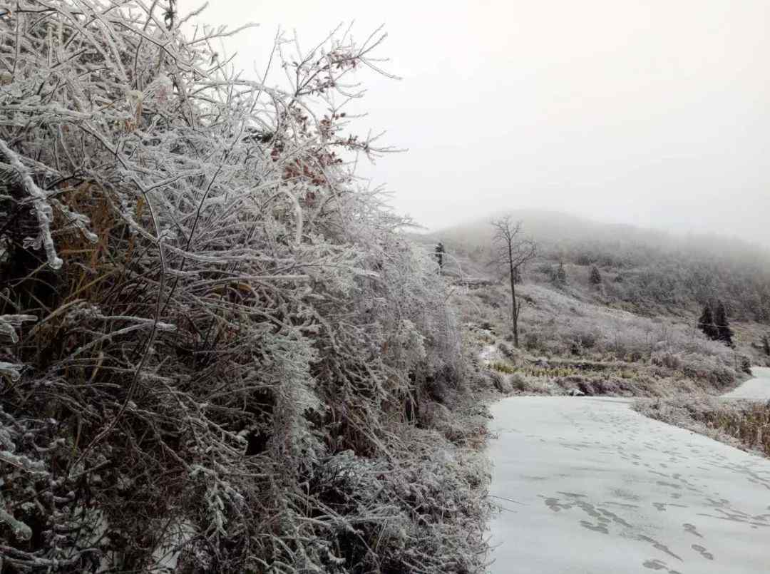 今年冬天湖南会下雪吗2020 今年冬天湖南有大雪吗？