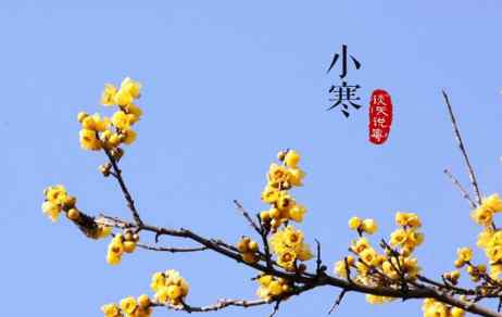 小寒节气的特点民俗 小寒节气的由来和风俗