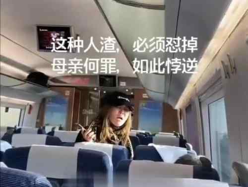 女子高铁辱骂母亲后弃母下车 辱骂母亲警察怎么处理
