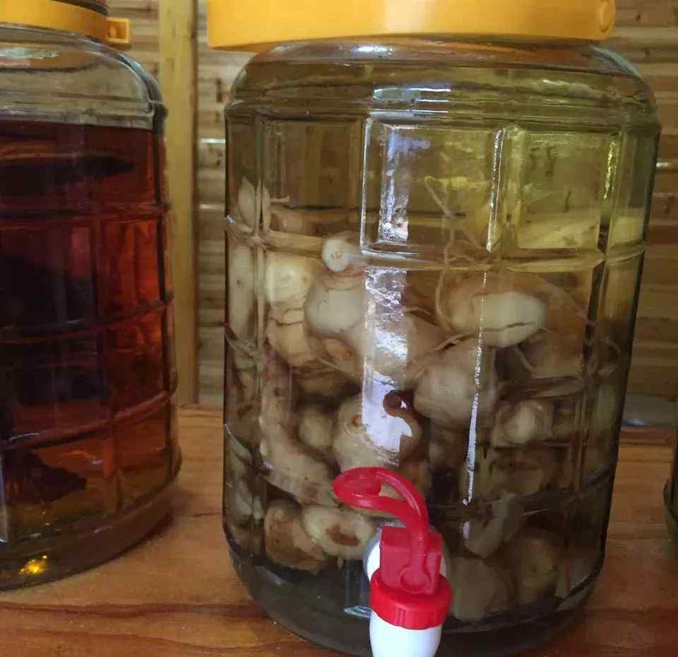 黄精泡酒的功效与作用 黄精泡酒的功效作用以及制作方法文章配图