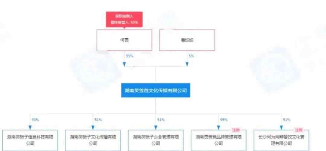 何炅父亲被强制执行44万裁判文书还原事情经过 炅爸爸何畏为何成老赖