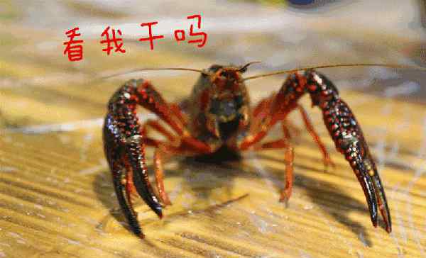 正宗油焖大虾 正宗潜江油焖大虾做法解密，原来就这么简单！