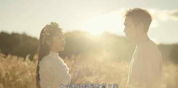司藤免费在线观看 完整版电视剧在达达兔能播放吗
