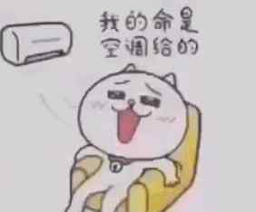 泰国温度 泰国温度高？为何我冻得瑟瑟发抖，这是闹哪般？