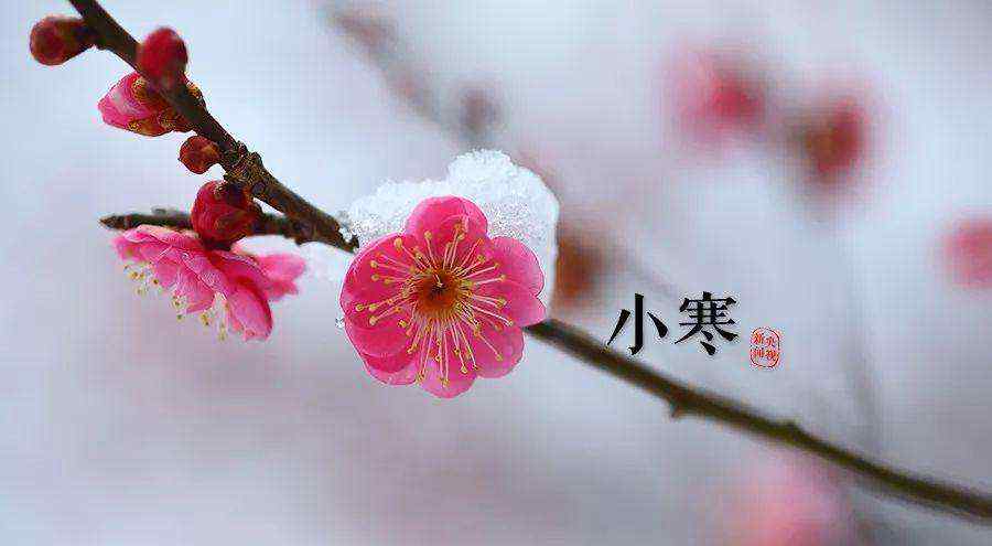 小寒节气有什么风俗 小寒节气有什么忌讳