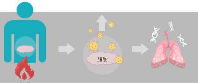 生酮减肥对身体有什么影响 生酮减肥对身体有危害吗