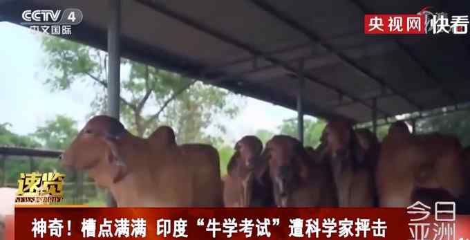 命都不要了？印度超两百万人聚集恒河沐浴 警察：大部分人都没戴口罩