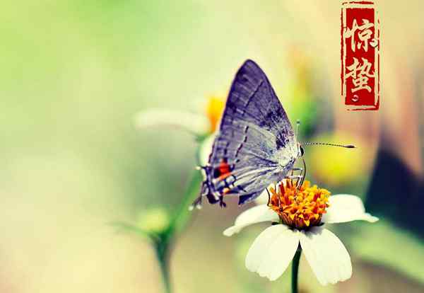 惊蛰到来后会发生什么变化 惊蛰时节动植物的变化