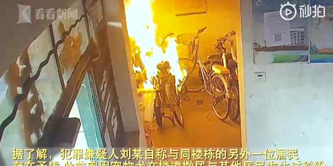 62岁阿姨用别人的自行车套擦狗尿 为掩盖痕迹竟放火“烧楼”