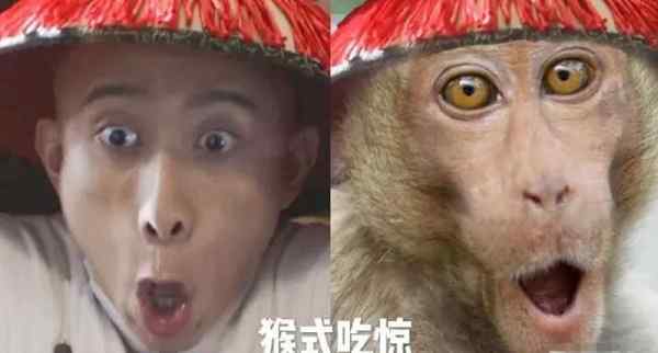 张一山版《鹿鼎记》真的很差吗 张一山版《鹿鼎记》输在哪