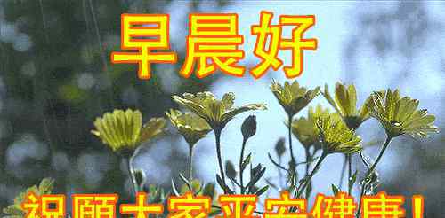 最新版早上好动态图片 最新版早上好快乐祝福语短信句子 超级漂亮早上好问候祝福语动态图片带字