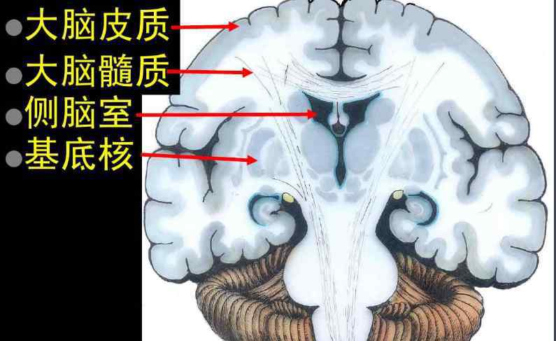 植物人真有被唤醒的可能吗?