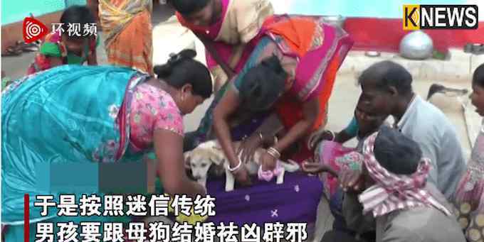 印度男童为辟邪跟母狗结婚