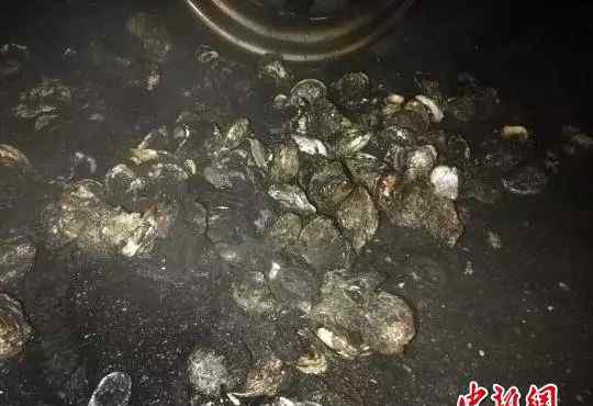 男子装货时瞬间摩擦起火 整个人被大火吞没