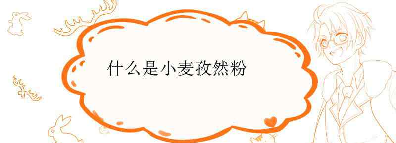 什么是小麦孜然粉