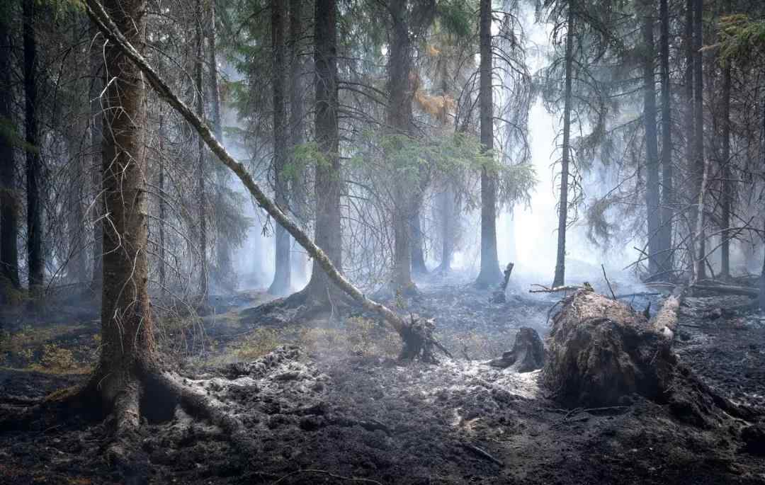 第8届户外摄影师大赛Outdoor Photographier of the Year作品
