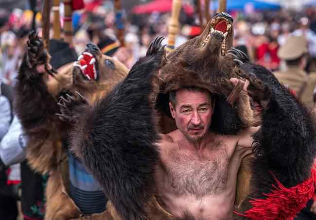 罗马尼亚Comanesti民众穿熊皮游行仪式 旨在驱赶恶灵