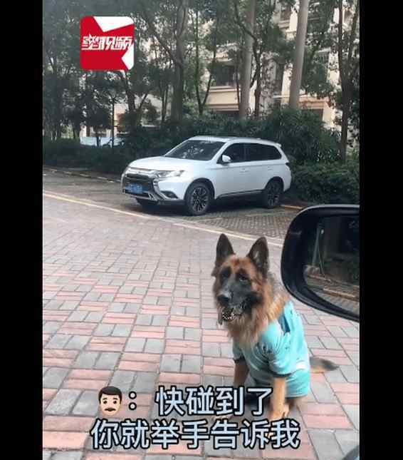 6岁小女孩指挥妈妈倒车