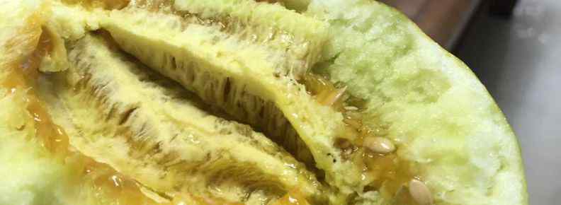 酥瓜和羊角蜜一样吗