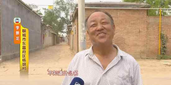 什么仇什么怨?大叔被鸟疯狂“爆头”3年 教授一语道破真相