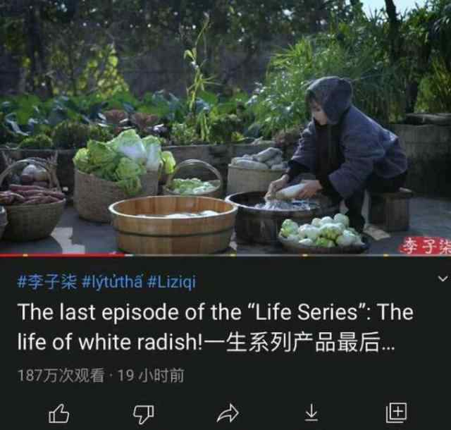 李子柒做泡菜遭韩国网友围攻