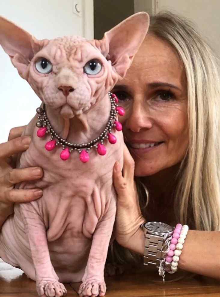 瑞士无毛猫Xherdan图片爆红网络 满身皱纹疑似外星人宠物