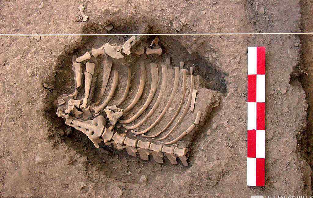 考古学家发现3000年前人类遗骸