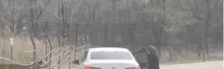 游客在猛兽区下车 究竟发生了什么?