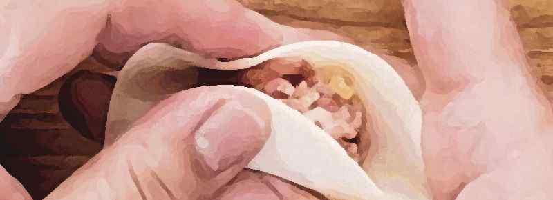 包玉米饺子玉米要煮熟吗