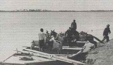 1965年黄河巨龟事件是真的吗 黄河巨鳌事件是怎么回事