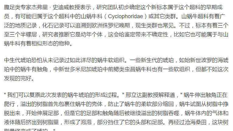 蜗牛琥珀：来自一亿年前蜗牛的凝视