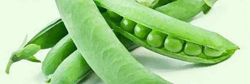 新鲜豌豆怎么冷冻保存