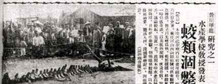 营口坠龙事件的真实性 1934年营口坠龙事件图片是真的吗