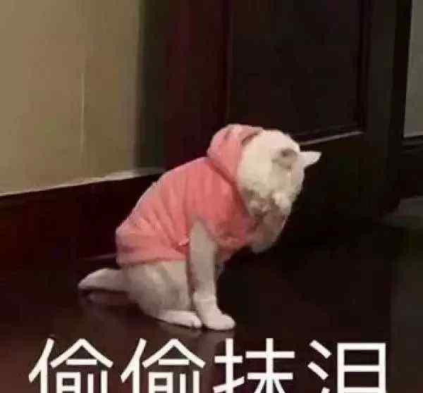 金乡二中吧 金乡二中学生被偷现金2670元，小偷现已抓到！你认识吗？
