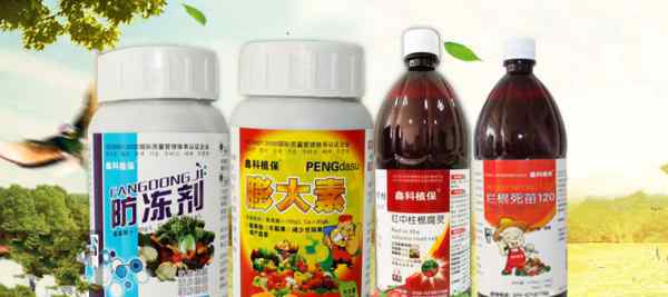 西瓜重茬种植技术 西瓜能重茬种植吗?怎样重茬种植?小编教你七招!夺取高产之王！