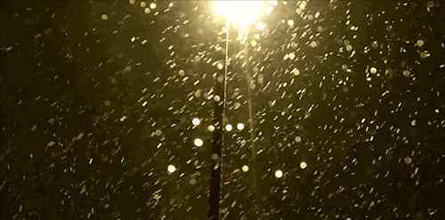 长春暴雪 今天晚上，长春市区有暴雪！