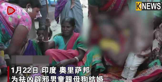 印度男童为辟邪跟母狗结婚