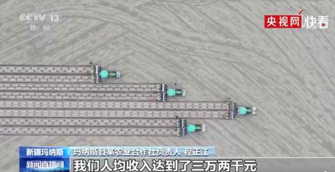 新疆一县70万亩棉花开播 机械化应用率98% 网友调侃：海外直播一下