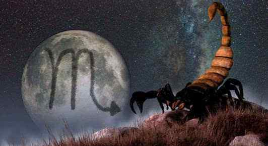 天蝎座最迷哪个星座 天蝎座最疼爱哪个星座文章配图