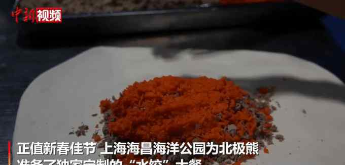 上海北极熊过年吃到4斤重大饺子